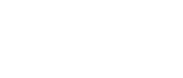 UNGP logo