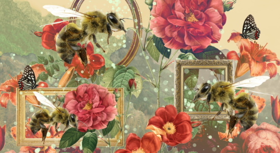 Bee Resilient: The Future of Pollinators
